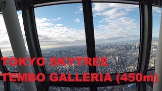 Tokyo Skytree  A Walk around the Tembo Galleria 450m  Mount Fuji [upl. by Wil]