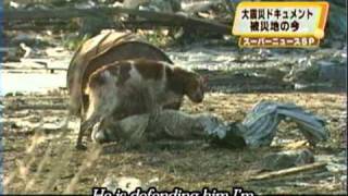 Dogs have been a victim of the tsunami English verquot 大津波の被害にあった犬ちゃん [upl. by Nichole]