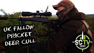 SampC TV  Deer management with Chris Rogers 14  Fallow deer stalking [upl. by Lizned376]