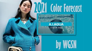 Pantone color of the year 2021WGSN color of the futureColoro Trend ForecastAI Aqua Spring Summer [upl. by Zsa Zsa]