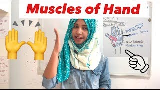 Hand Muscles  Hand Anatomy Intrinsic Muscles  MedSmartly with me [upl. by Eiclud]