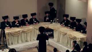 Shloime Taussig and Yedidim Choir  Yoisef Hashem [upl. by Losiram]