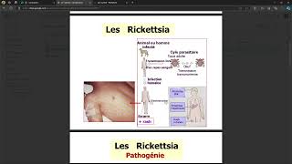 Bacteriologie  Rickketsia FMPC [upl. by Ardene]