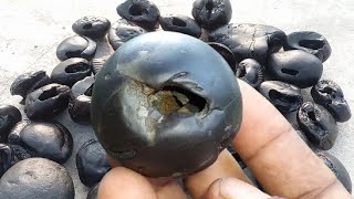 Gandaki river shaligram  different kinds of smaller sri shaligram shila  shaligram stone [upl. by Clorinda250]