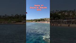 Savoy Sharm El Sheikh 5 beach egypthotels savoy travel [upl. by Assilam973]