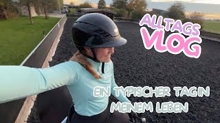 VLOG  Arbeit verletzte Pferde Reitunterricht und Co 🐴🤕 [upl. by Ennailuj]