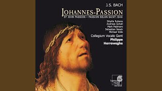 JohannesPassion BWV 245 I Teil 7 Aria Alt quotVon den Stricken meiner Sündenquot [upl. by Esoryram]