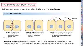 Human Physiology  Cell Communication Lecture Part 1  Longdistance vs Shortdistance signaling [upl. by Xylia]