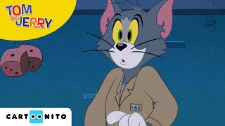 Tom amp Jerry  Tom havner i fengsel  Cartoonito  For barn [upl. by Kelson]