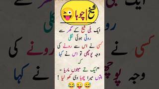 Bili or Shaikh شیخ اور بلیfunny urdu jokes  دلچسپ مزاحیہ لطیفے  fun  shortsfeed viral shorts [upl. by Getraer]