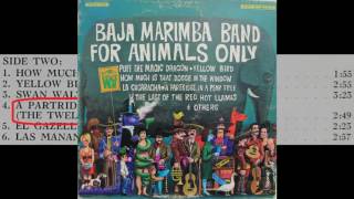 A Partridge in a Pear Tree  The 12 Days of Christmas  Baja Marimba Band [upl. by Gupta316]