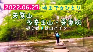 【お散歩86】【ハイキング】【低山登山】天覧山・多峯主山・吾妻峡 眺望と涼を求めて [upl. by Ahsiyk]