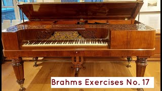 Brahms Übungen Nr 17 [upl. by Aratas]