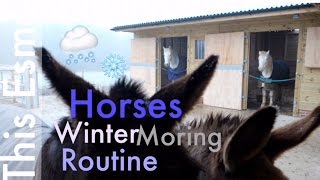 Horses Winter Morning Routine  This Esme [upl. by Airdnek302]