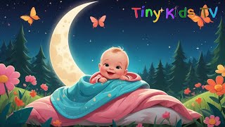 Gentle Lullabies for Your Babys Sweet Dreams 🌙✨ [upl. by Sirtaeb561]