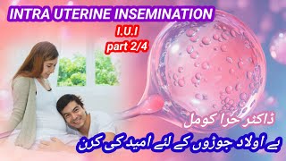 IUIpart 24  intrauterine inseminationinfertility [upl. by Kcirtapnaes]