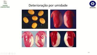 9 Teste de Tetrazolio [upl. by Saire]