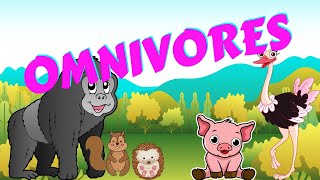 Omnivores  Types of Animal  Science for Kids [upl. by Annaicul]