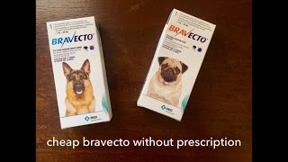 Bravecto Spot On for Dogs [upl. by Irmgard]