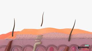 Dauerhafte Haarentfernung und AntiAging Effekt dank Laser  IPL SHR M26 – SHR Germany [upl. by Robinia]