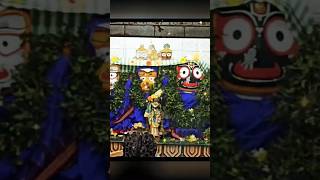 Jagannath Swami 🙏❤️youtubeshorts jagannth shortvideo jagannath song 🙏🙏 [upl. by Akeme]