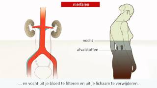 Nieraandoening  Oorzaak en behandeling [upl. by Selhorst591]