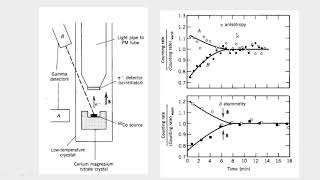 parity violation in beta decay [upl. by Sitnalta410]