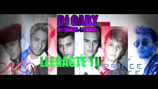 Llegaste tu  CNCO amp Prince Royce Dj Gaby REMIX INTRO SOFT [upl. by Albers]