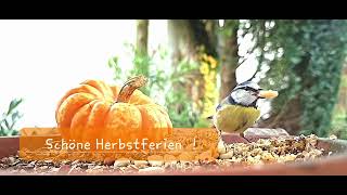 Schöne Herbstferien [upl. by Hgielsel]