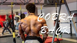 Cobra Back Workout with natural Bodybuilder Onome Egger  Arnold 20 [upl. by Swetlana]