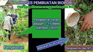 TUTORIAL MEMBUAT TANAMAN BERBUAH TERUS DILUAR MUSIM [upl. by Dett]