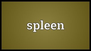 Spleen Meaning [upl. by Warrick]