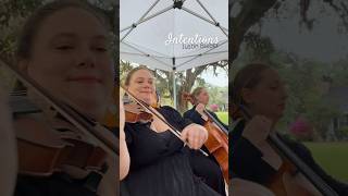 Love this song we played for postlude on Friday 🤍 Intentions weddingplanning violincover music [upl. by Junie]