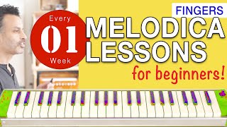 Melodica Lessons for Beginners 01 Fingers [upl. by Leid956]