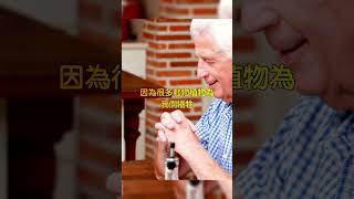 打破迷思！飲食新觀念：彈性飲食比三餐更健康 [upl. by Anelleh]