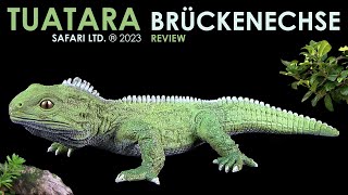 Safari Ltd ® Brückenechse  Tuatara  Review Deutsch  German [upl. by Enelyw430]