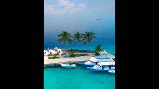 The Maldives Resort Island Vlog So Beautiful [upl. by Halueb]