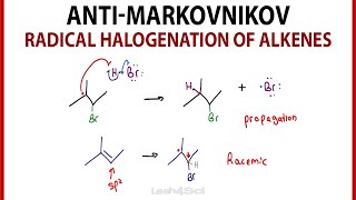 AntiMarkovnikov Radical Halogenation of Alkenes [upl. by Temple]