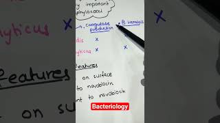 Bacteriologymicrobiology Basic bacteriology [upl. by Ahsurej]