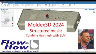 Structured Mesh in Moldex3D2024 by FlowHow® Combine Hex mesh and boundary layer mesh BLM [upl. by Nylodnew446]