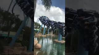 Manta  Seaworld Orlando [upl. by Wauters]