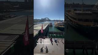 Circular quay station  sydney australia australia travel sydney [upl. by Amorette651]