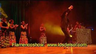 FLAMENCO SHOW SPAANSE DANS SPAANSE MUZIEK LOS DEL SOL SPORTGALA [upl. by Negaet]