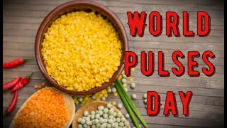 World Pulses Day February 10 Activities and How to Celebrate World Pulses Day [upl. by Clere]