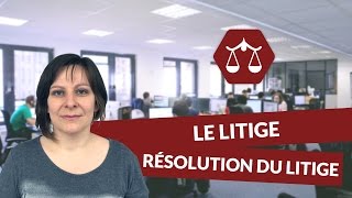 Le litige  La résolution du litige  Droit STMG  digiSchool [upl. by Ayortal323]