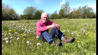 Ladys Smock or Cuckoo Flower with John Feehan in May Wildflowers of Offaly series [upl. by Vilhelmina411]