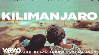 Tiwa Savage Black Sherif Young Jonn  Kilimanjaro Official Lyric Video [upl. by Zelten]