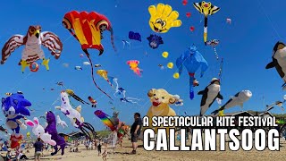 🪁☀️ MEGA VLIEGERS OP HET STRAND IN CALLANTSOOG  A SPECTACULAR KITE FESTIVAL 2024 CALLANTSOOG BEACH [upl. by Parshall722]