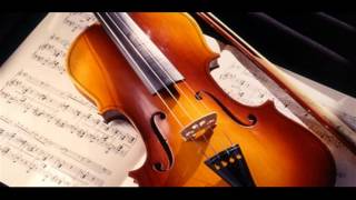 Schubert  Symphony No 3 Presto Vivace [upl. by Saied611]