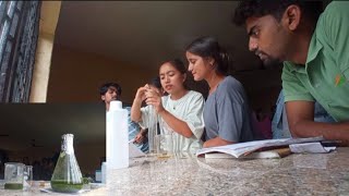 preparation of extract of marigold using ethanol and water through various methods [upl. by Coray736]